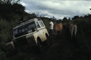 Nicaragua 1980-81 Land-Rover in panne